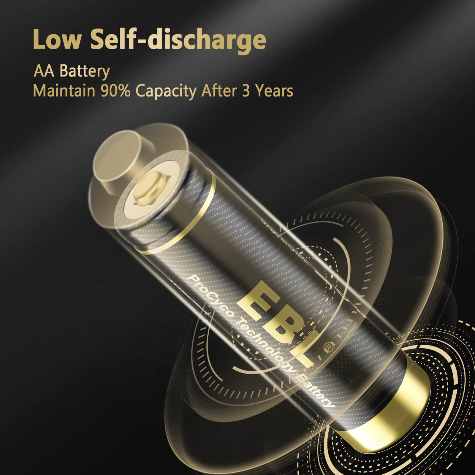EBL Gold Pro 2800mAh Rechargeable AA Batteries - High Capacity NiMH Battery Pack for Digital Cameras, Flashlights, Toys & More
