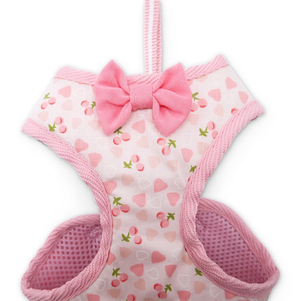 EasyGO Cherish Heart Harness - Adjustable No-Pull Dog Harness for Small & Medium Dogs - Perfect for Walking, Training & Outdoor Adventures