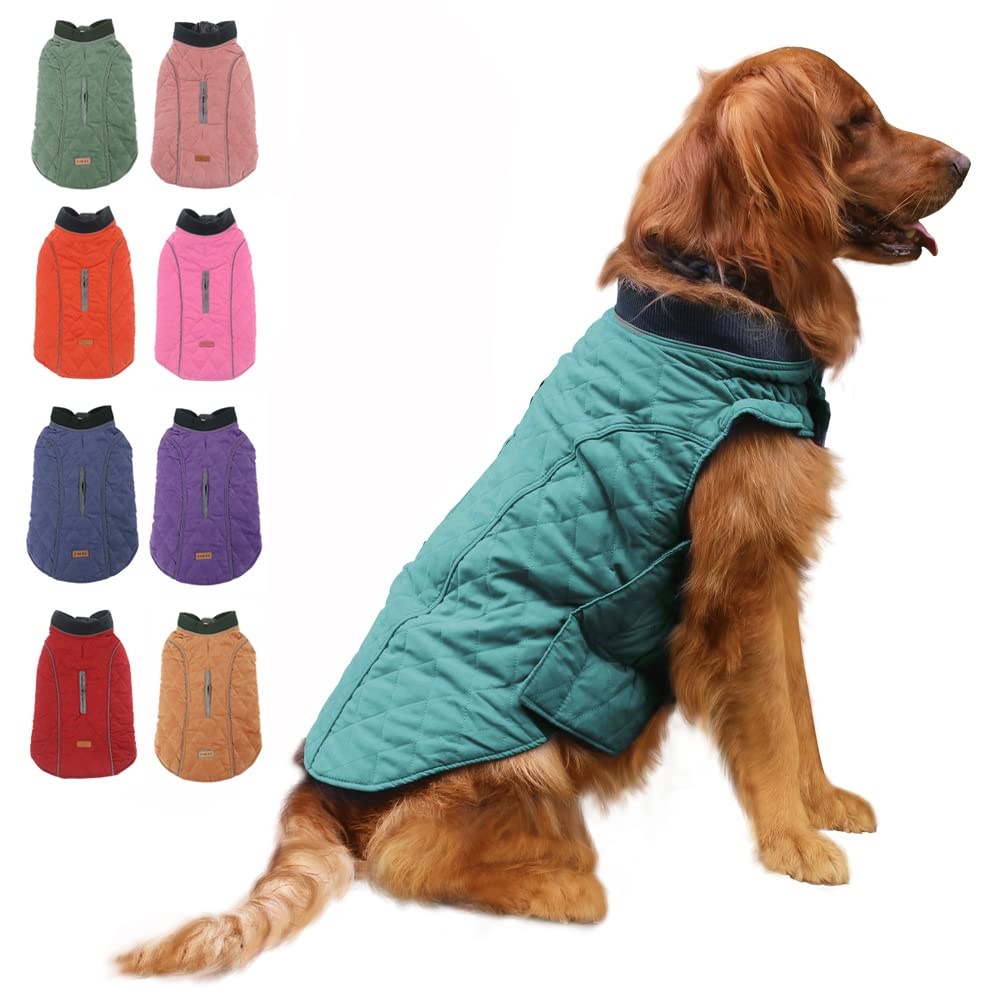 EMUST Winter Dog Jacket for Cold Weather - Soft & Warm Dog Coat for Small, Medium & Large Dogs - 7 Sizes & 13 Colors (Large, Turquoise) - Perfect for Outdoor Walks, Snow Play & Winter Protection