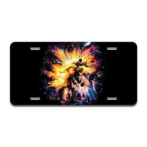 Leo Galaxy
