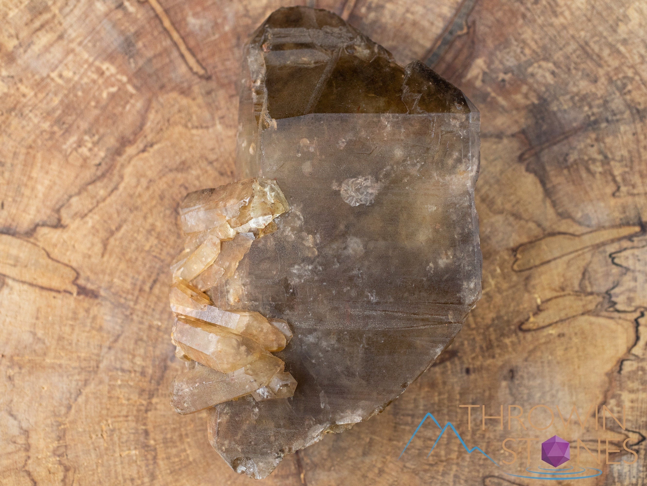 Natural Citrine Raw Crystal Point - November Birthstone, Healing Stone, Home & Office Decor, Feng Shui Crystal for Positive Energy - Perfect for Meditation, Gifts & Spiritual Healing