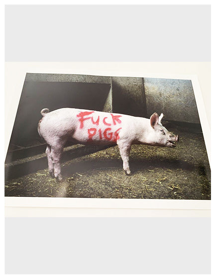 Banksy 'Fuck Pigs' High Society Print by Lazarides - Street Art Wall Decor for Urban Home & Office