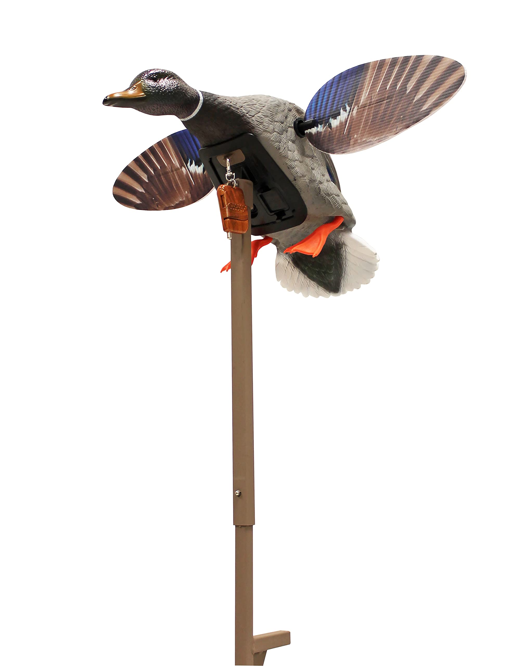 MOJO Outdoors Elite Series Mini Spinning Wing Flexible Duck Decoy - Realistic Drake Mallard Hunting Decoy for Waterfowl Hunting, Perfect for Ponds, Lakes & Marshes