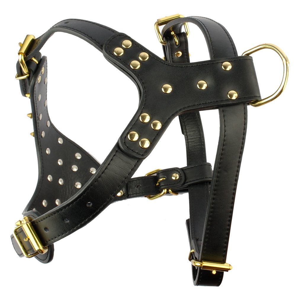 Black Leather Dog Collar with Golden Spikes Studded - Medium & Large Size (21-24