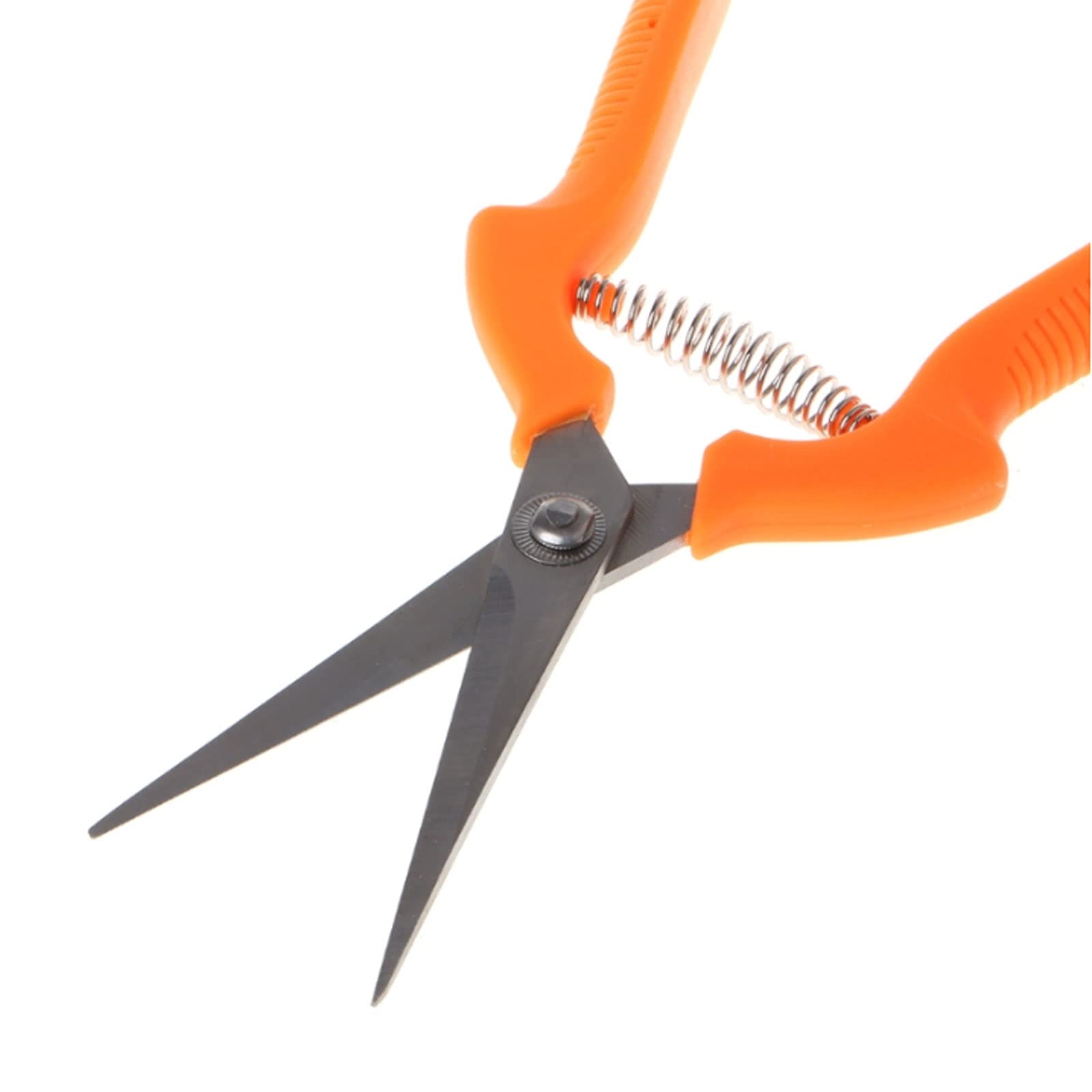 Premium Gardening Pruning Shears - Sharp Stainless Steel Hand Pruners for Precise Cutting of Plants, Roses, Berries & Grape Picking - Ideal for Small Gardens, Pots & Outdoor Use