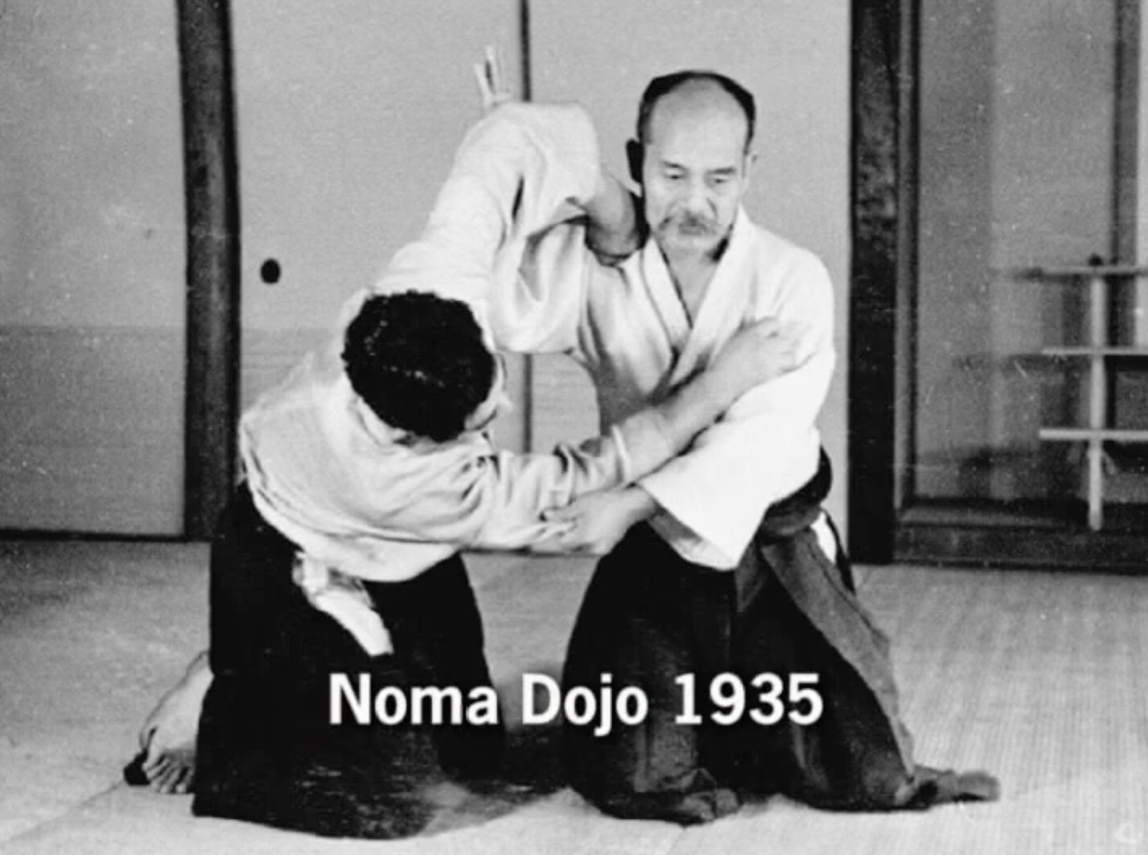 Morihiro Saito Budo DVD - Authentic Aikido Training & Techniques for Martial Arts Enthusiasts | Perfect for Home Practice & Dojo Learning