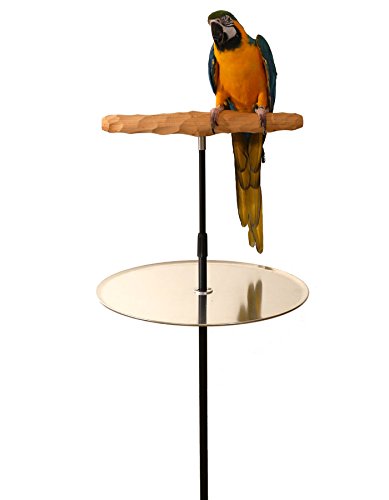 Parrot Training Perch Stand with Detachable Potty Tray - Extra Large T-Shaped Bird Perch for Cockatoos, Macaws & Large Parrots - Perfect for Training, Grooming & Playtime