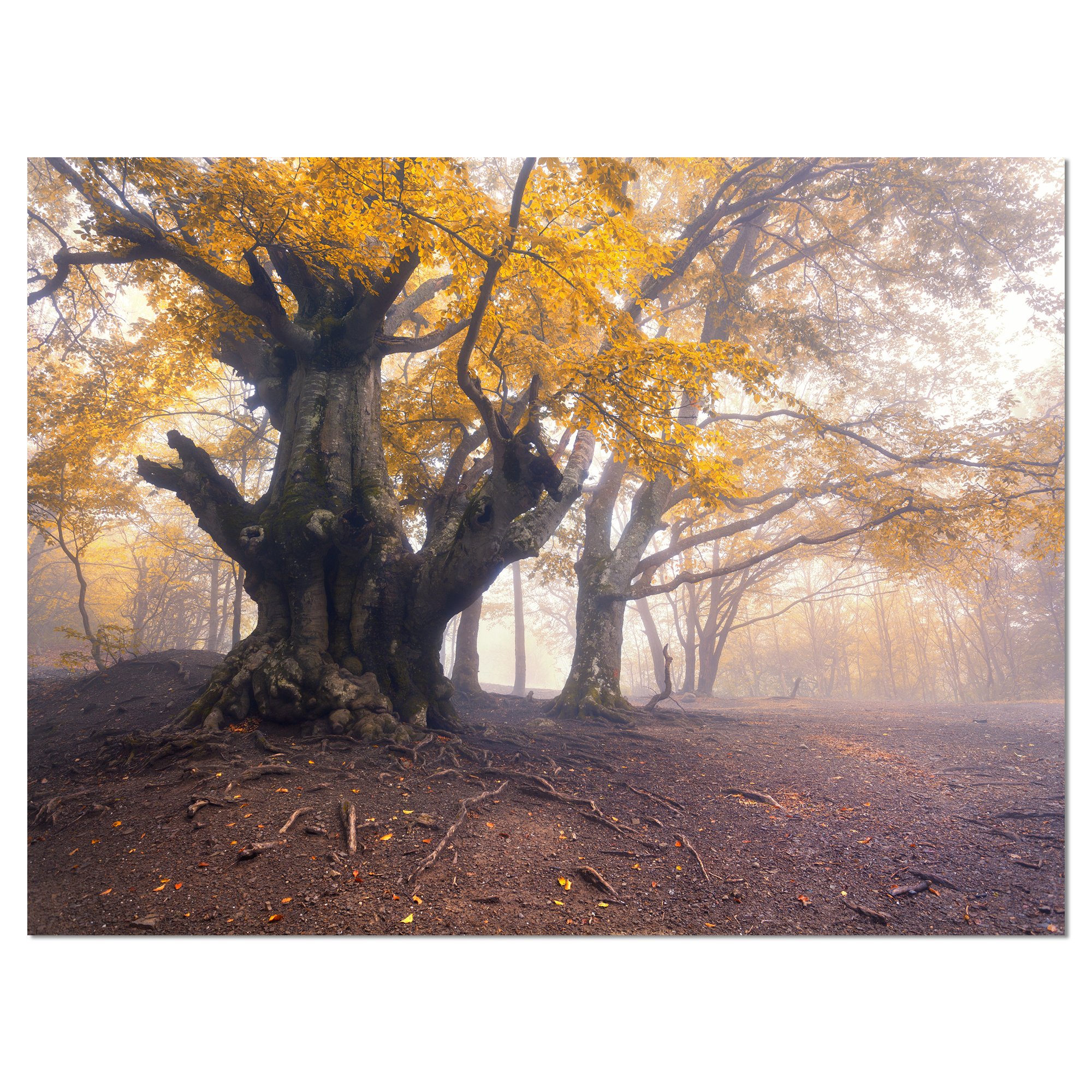 Dark Tree with Yellow Leaves Landscape Photography Canvas Print - Autumn Forest Wall Art for Living Room, Bedroom & Office Decor