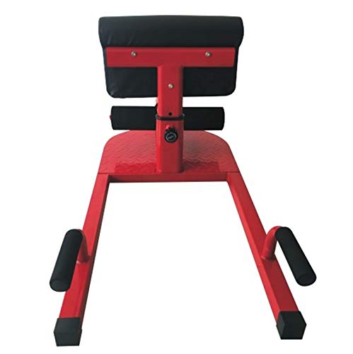 X-Factor Home Gym Sissy Squat Trainer for Abs, Legs & Full Body Workout - Strength Training Equipment for Home Fitness & Muscle Building | Perfect for Home Gym, CrossFit & Functional Training