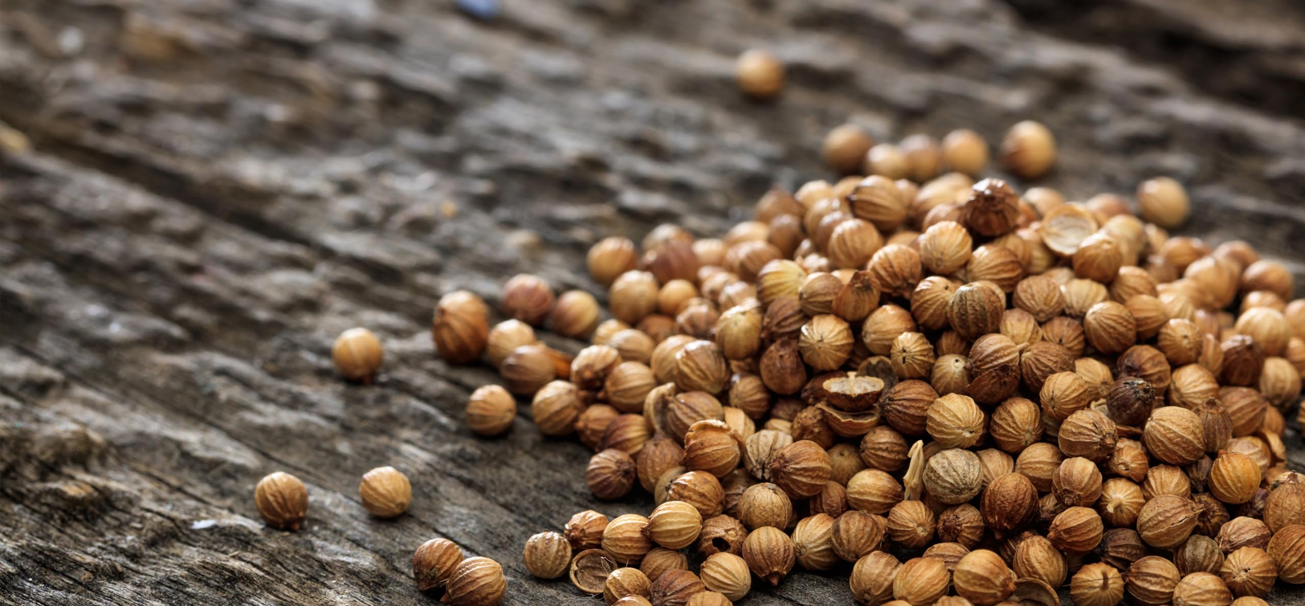 Organic Coriander Seeds 16 Oz - 100% Certified, Non-GMO, Raw, Non-Irradiated - Perfect for Cooking, Baking, and Herbal Remedies