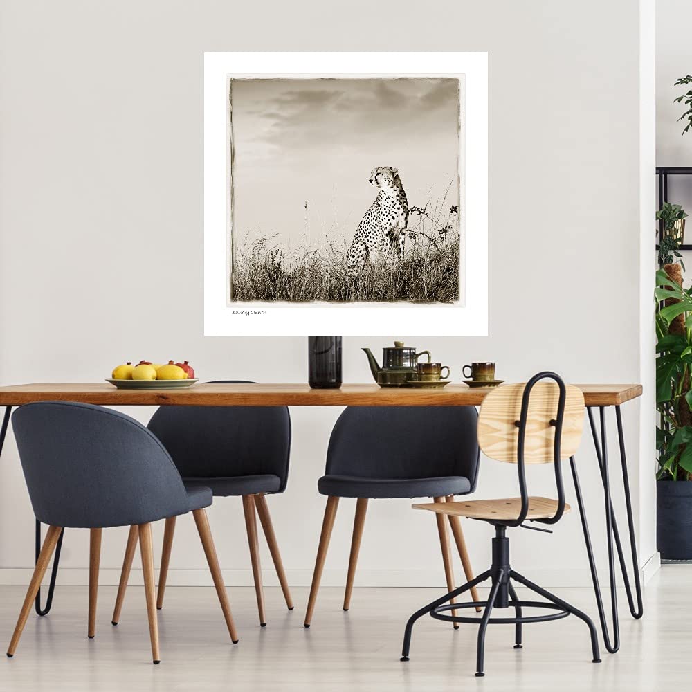 Solitary Cheetah Fine Art Canvas Print - Premium Wildlife Wall Decor by Artist Tiedge - 37x37 Inches - Ready to Hang for Living Room, Bedroom, Office & More - Perfect for Nature Lovers & Safari-Themed Interiors