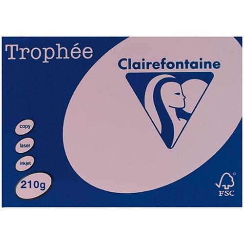 Premium A4 210gsm Trophee Cardstock - Pastel Pink (100 Sheets) | Ideal for Scrapbooking, Invitations & DIY Crafts