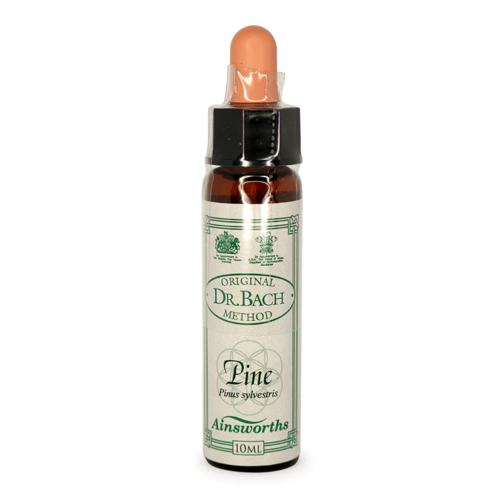 Ainsworths Bach Flower Remedies Pine - Natural Stress Relief & Emotional Balance Drops for Anxiety, Confidence & Focus - Use for Meditation, Work & Daily Wellness