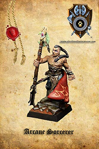 Kingdom of Talliareum Arcane Sorcerer - 28mm Multi-Part Resin Miniature for Warhammer 40K, Age of Sigmar, Kings of War & Tabletop Wargaming - Perfect for Fantasy Battle Scenes & RPG Campaigns