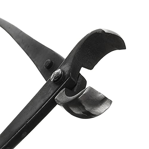 Premium 210mm Round Edge Bonsai Cutter - Multi-Function Branch & Knob Trimmer for Gardening, Pruning, and Shaping - Ideal for Beginners & Professionals | Perfect for Indoor Plants, Outdoor Gardens, and Bonsai Trees