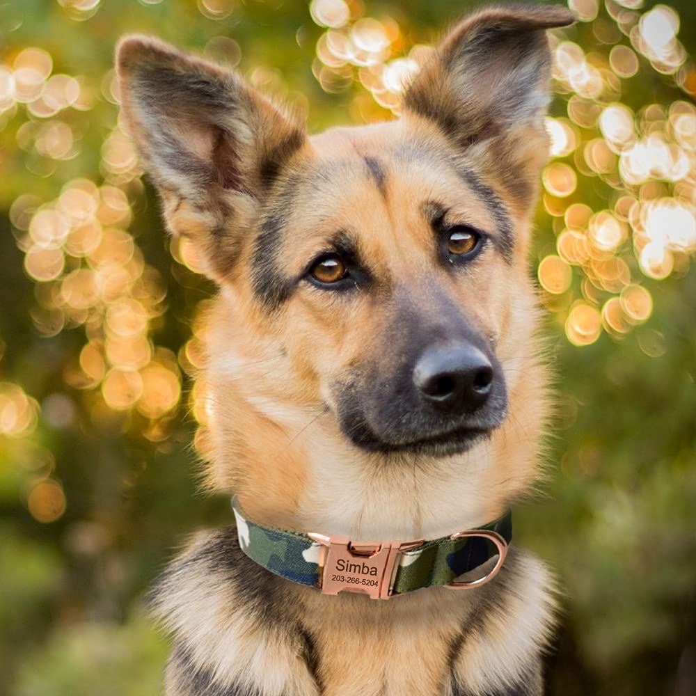 Custom Engraved Dog Collar with Name & Phone - S, Camo for Small Pets