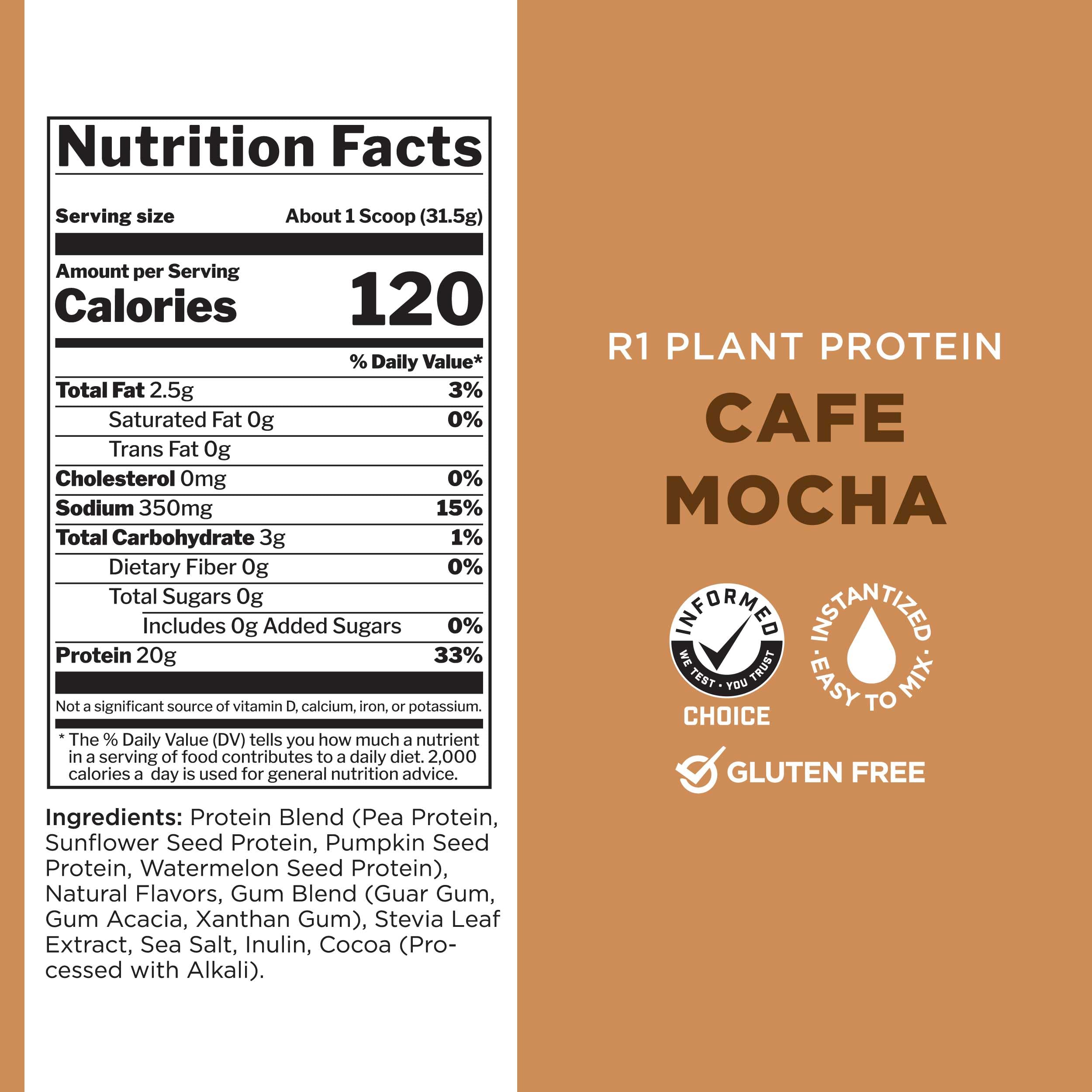Rule 1 Plant Based Protein Powder - Vegan, Gluten Free, Dairy Free & Soy Free with 20g Protein per Serving (Café Mocha, 20 Servings) - Perfect for Post-Workout Recovery & Healthy Smoothies