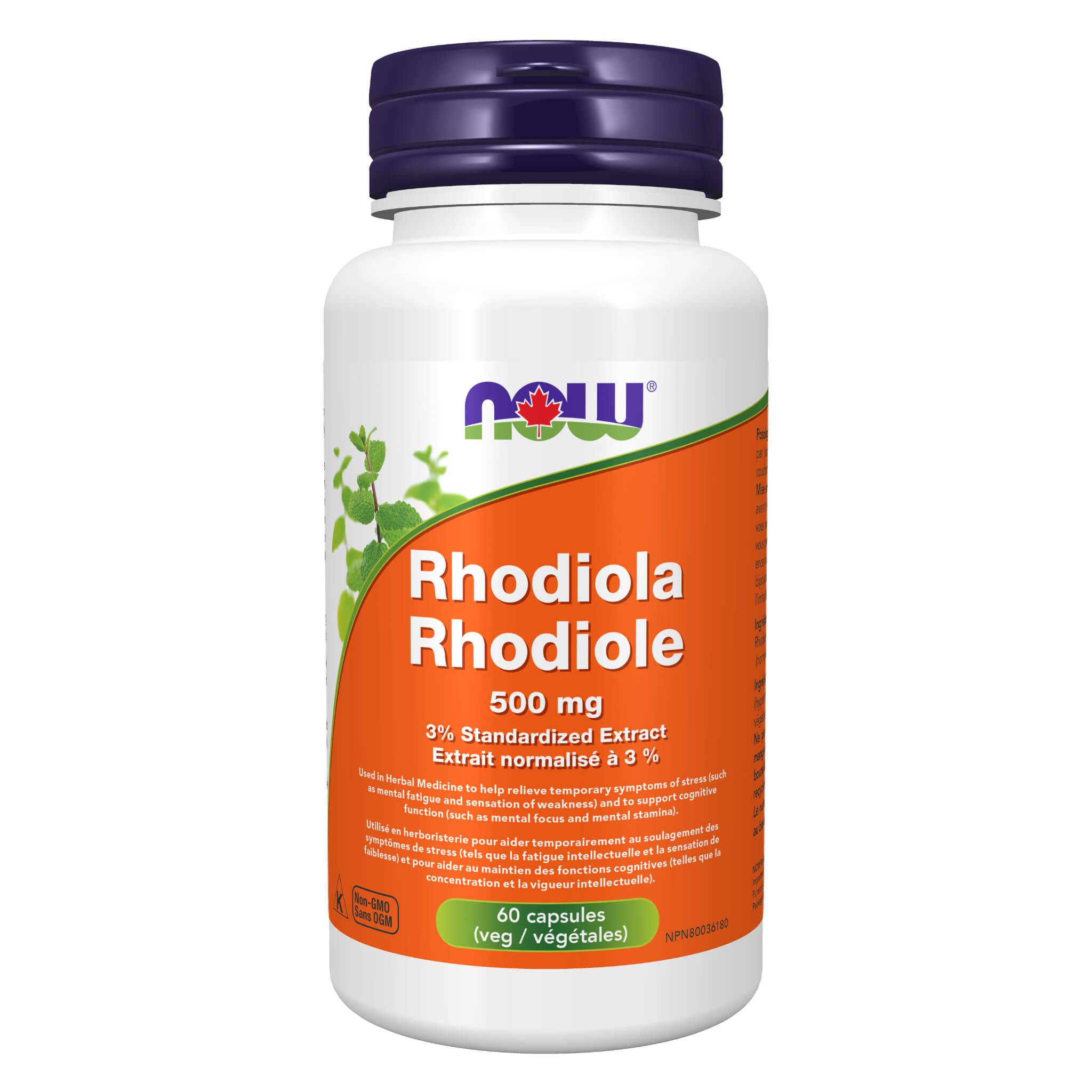 Premium Rhodiola Rosea (Arctic Root) Extract 500mg Capsules - Natural Stress Relief & Energy Booster Supplement for Focus, Mood & Fatigue - Perfect for Busy Professionals & Students
