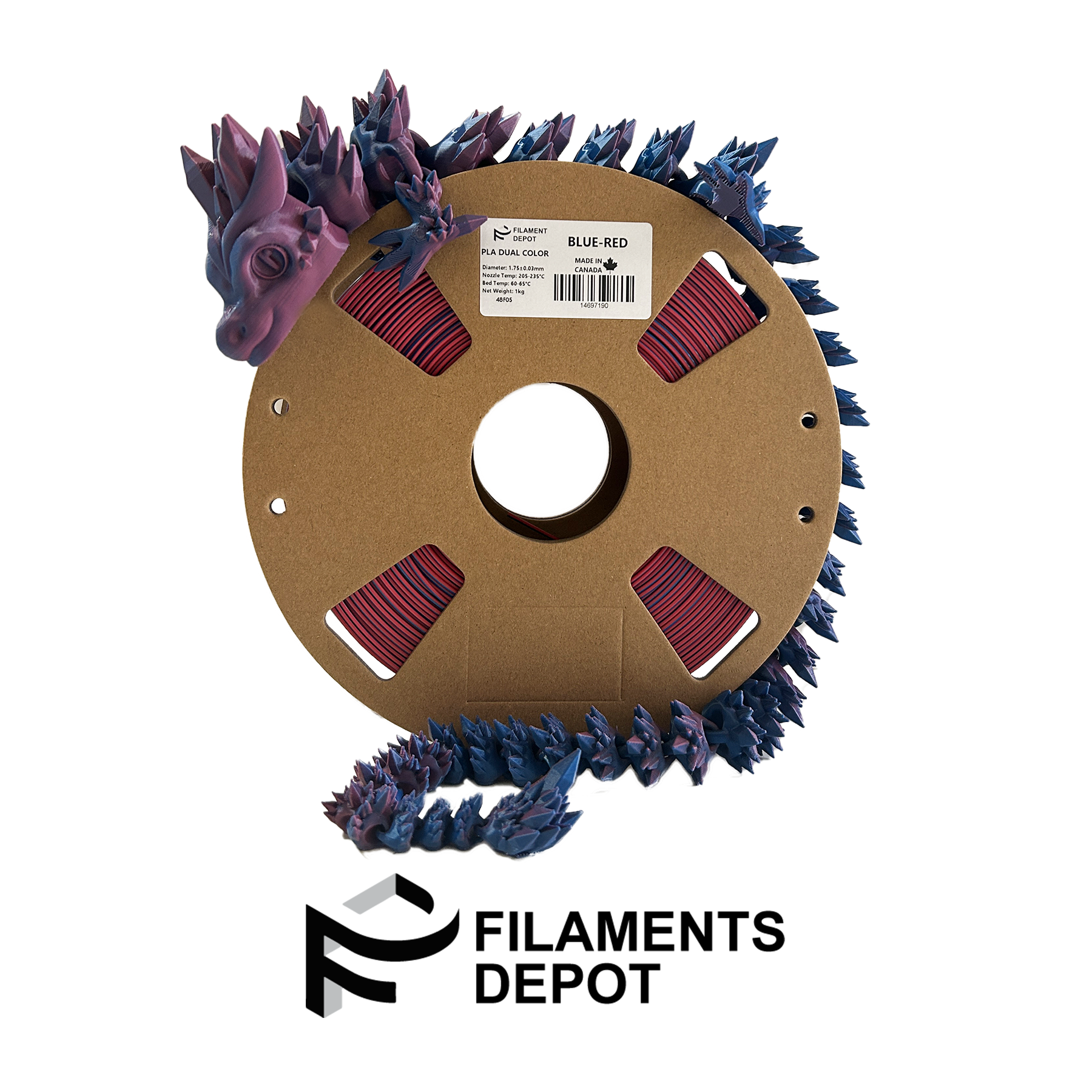 Filaments Depot Premium 1.75mm PLA 3D Printer Filament - Dual Color, 1kg Spool for Smooth Printing | Ideal for Home, School & Office 3D Printing Projects