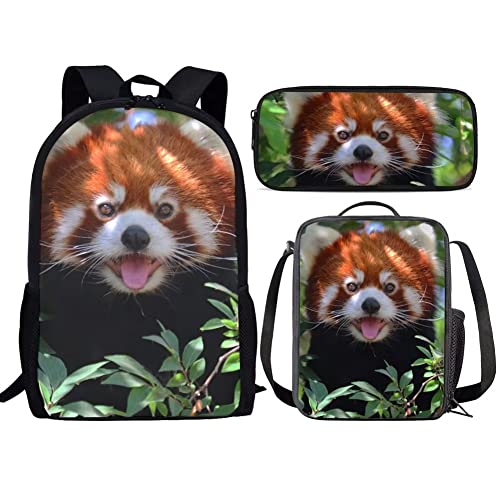 Fluffy Red Panda