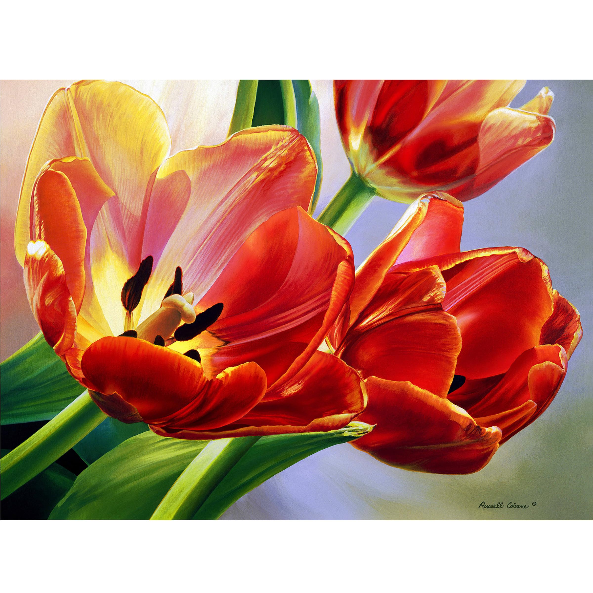 1000 Piece Tulips in Spring Jigsaw Puzzle for Adults & Kids - Challenging Family Game Night Activity, Home Decor & Relaxation Gift Idea