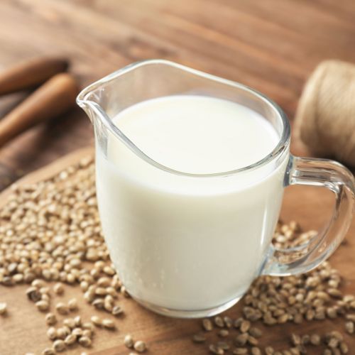 Organic Hemp Milk Powder - Plant-Based Dairy-Free Protein Drink for Smoothies & Coffee | Vegan, Gluten-Free, Non-GMO Superfood Supplement for Energy & Wellness