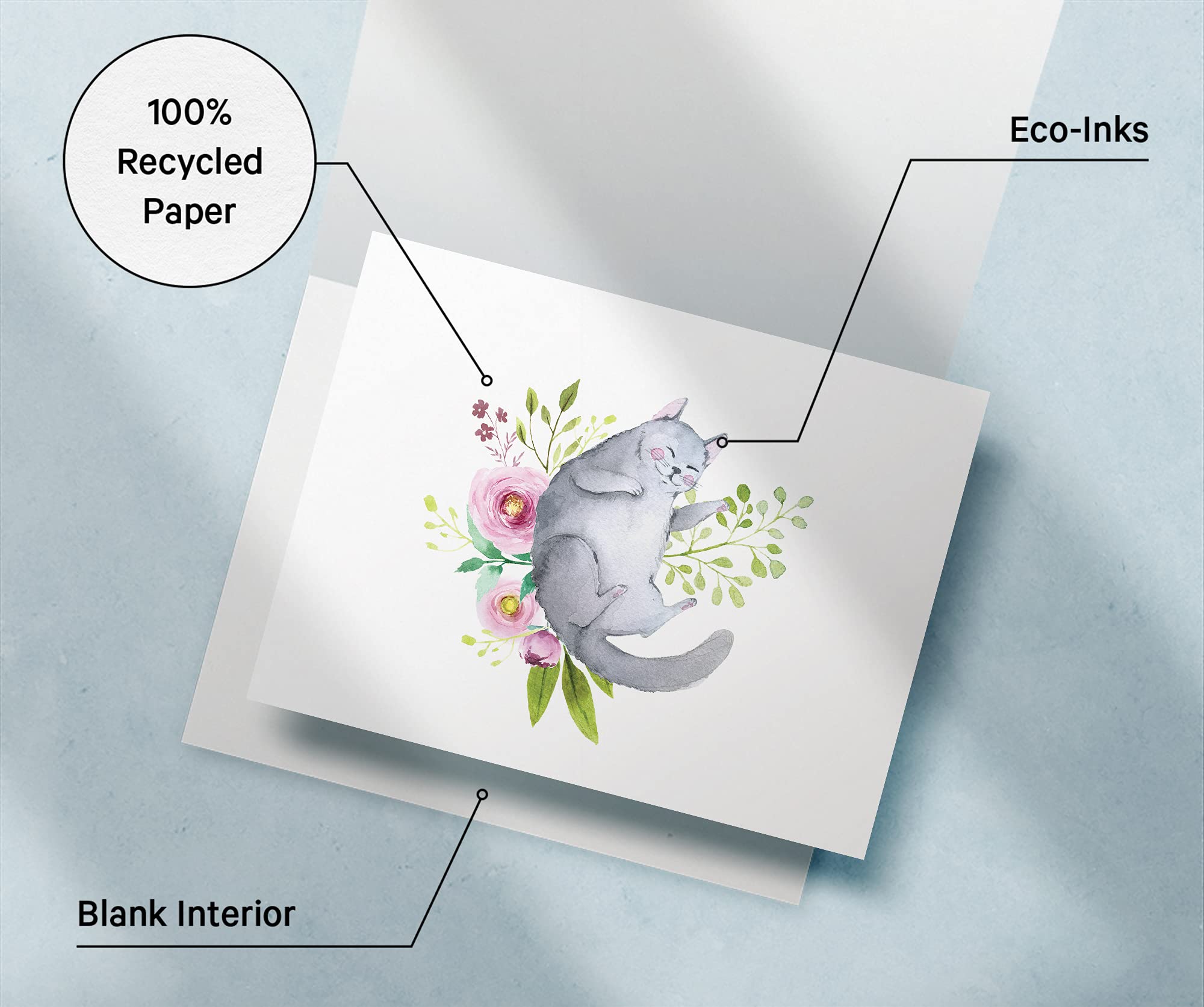 Twigs Paper - 12-Pack Assorted Cat Greeting Cards with Envelopes (5.5x4.25 in) - Blank Note Cards for Thank You, Birthday & All Occasions - USA Made Stationery - Perfect for Cat Lovers, Pet Owners & Handwritten Notes