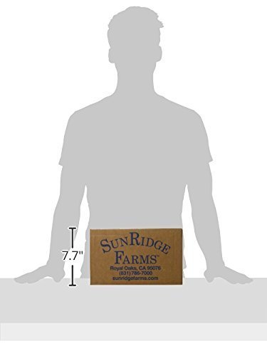 Sunridge Farms Peanut Butter Chocolate Malt Balls Candy - 10lb Bulk Bag for Baking, Parties & Gift Baskets