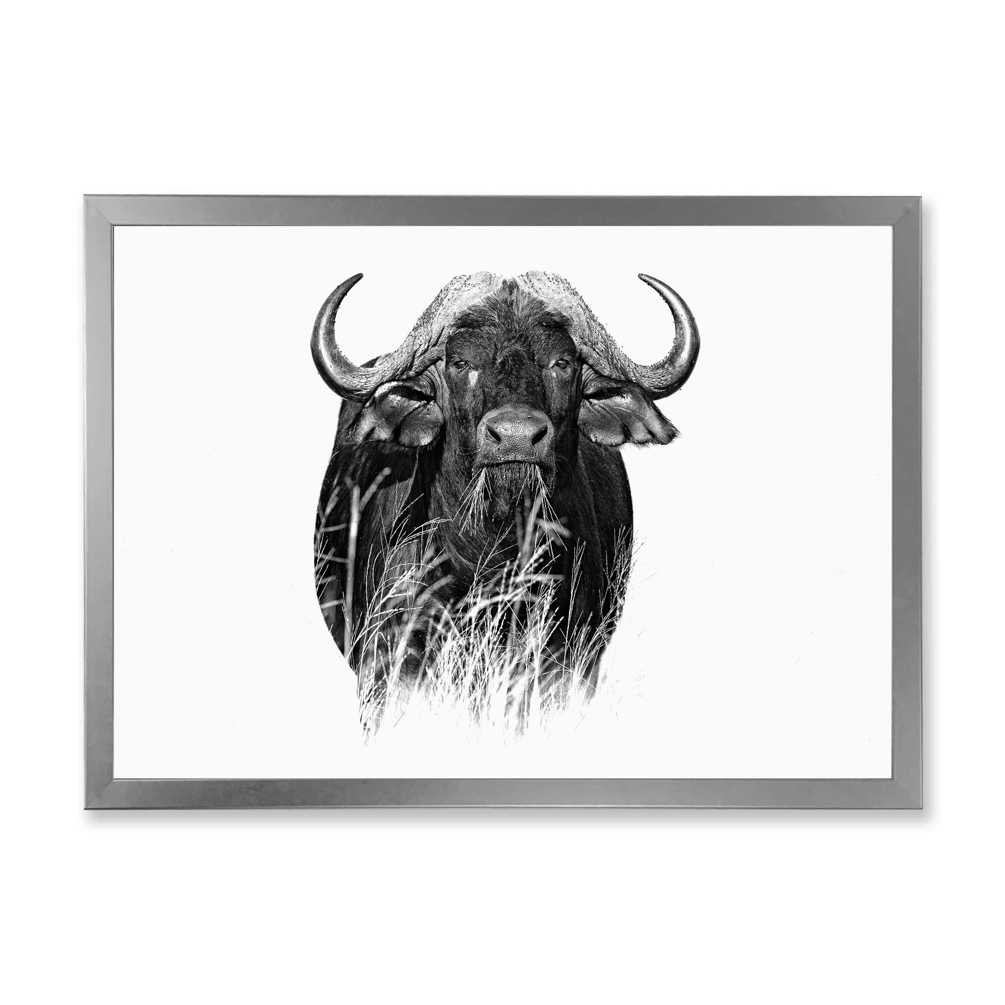 DesignQ Monochrome Buffalo IV Farmhouse Framed Wall Art - Black & White Animal Portrait for Living Room, Bedroom & Office Decor