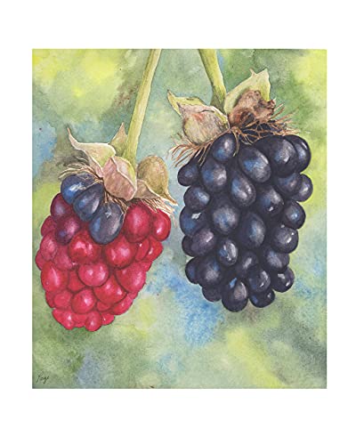 Fruit Painting Kitchen Wall Art - Berries Watercolor Print, Original Art Picture for Home Decor | Perfect for Farmhouse, Dining Room & Kitchen Wall Decoration
