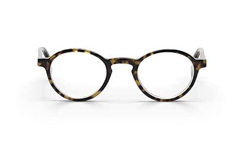 Tortoise Front With Black & Tortoise Temples