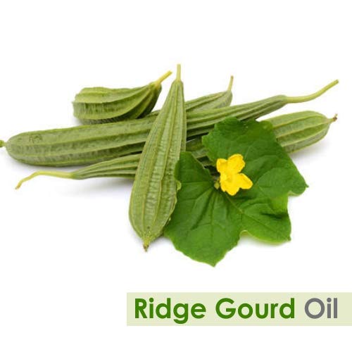 100% Pure & Natural Ridge Gourd (Lufa Acutangula) Carrier Oil - Cold Pressed, Undiluted, Uncut - 2L Bottle for Skin Care, Hair Growth & Aromatherapy