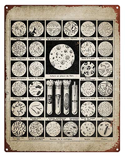Biology Knowledge