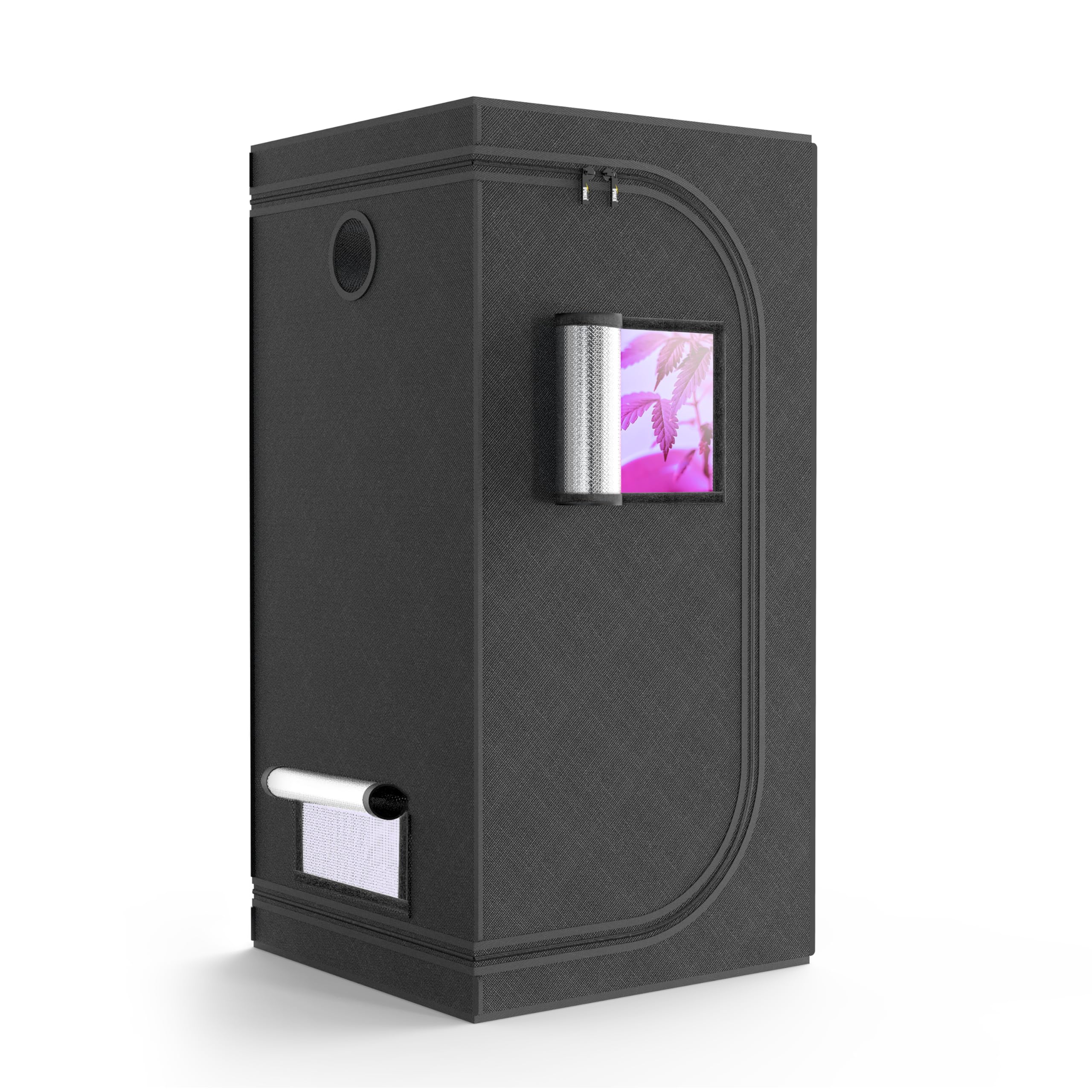 iPower 31