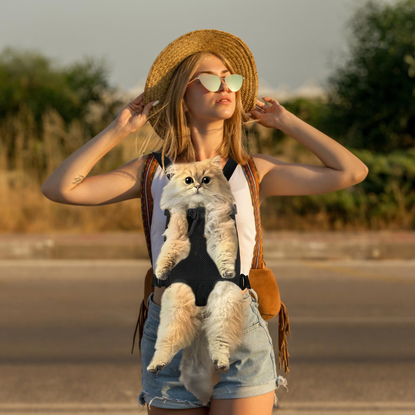 Adjustable Pet Dog Carrier Backpack - Front Facing Dog Hiking Backpack for Small Dogs & Cats - Lightweight Chest Carrier for Outdoor Adventures, Travel, and Daily Walks
