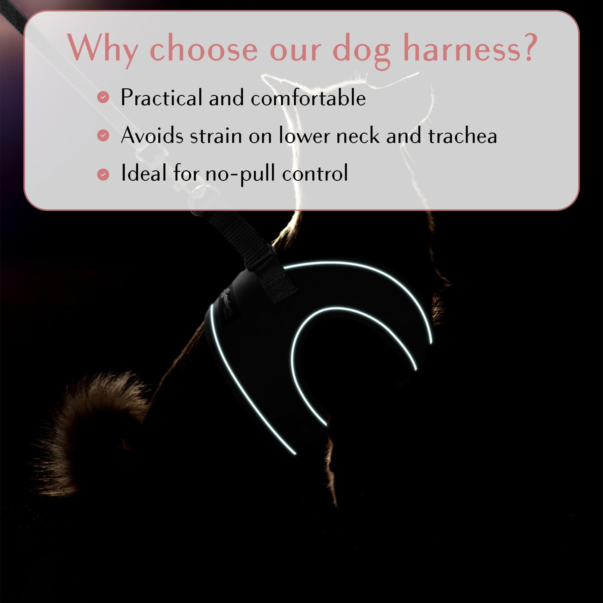 Adjustable Reflective Dog Harness for Small & Medium Dogs - All Weather Comfort Fit Step-in Vest with Soft Padding for Easy Walking - Perfect for Daily Walks, Night Safety & Outdoor Adventures