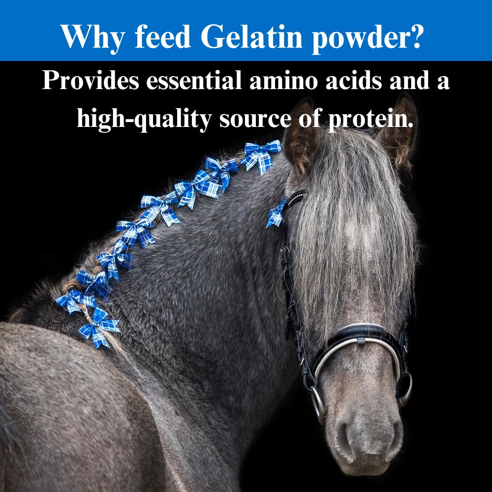 Premium Horse Hoof Supplement with Gelatin Powder for Joint Support & Healthy Hooves Growth - 2.5lb (2 Pack) - Ideal for Equine Hoof Care & Joint Maintenance in Training & Recovery