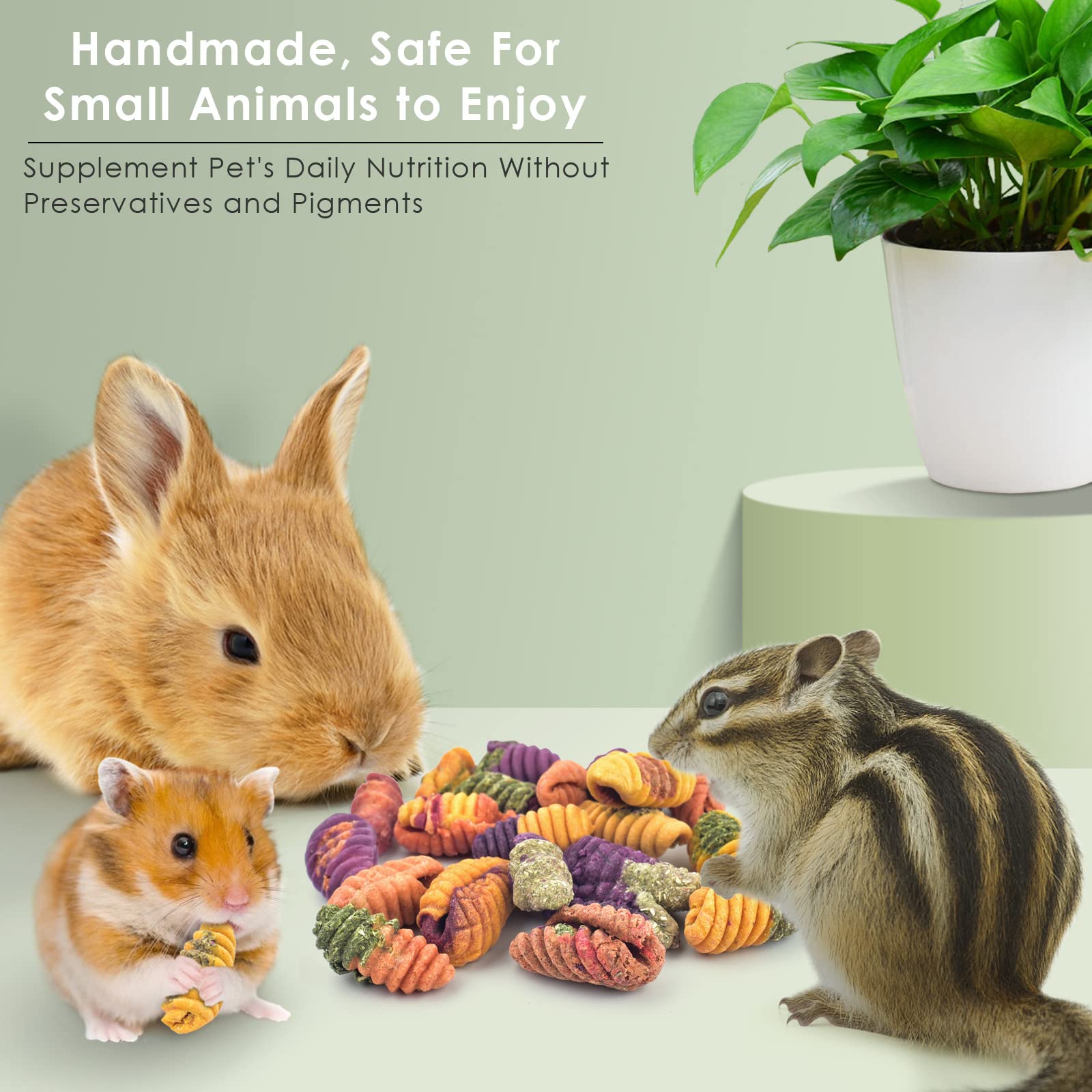 ERKOON Small Chinchilla Treats & Chew Toys for Dental Health - Natural Wooden Chews for Rabbits, Guinea Pigs, Gerbils, Rats & Dwarf Hamsters - Perfect Cage Accessories for Small Pets' Teeth Care & Playtime