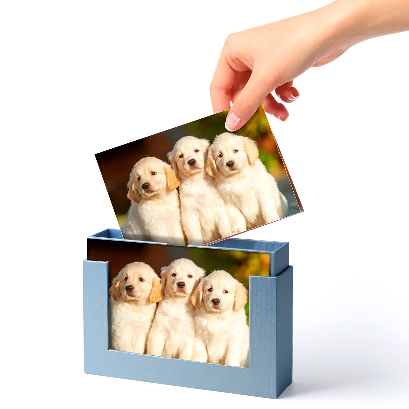5x7 Cardboard Photo Storage Box - Organize Pictures, Family Photos & Postcards | Wedding Gift, Chocolate Gift Box | Perfect for Memory Keeping, Scrapbooking & Home Decor (Blue)