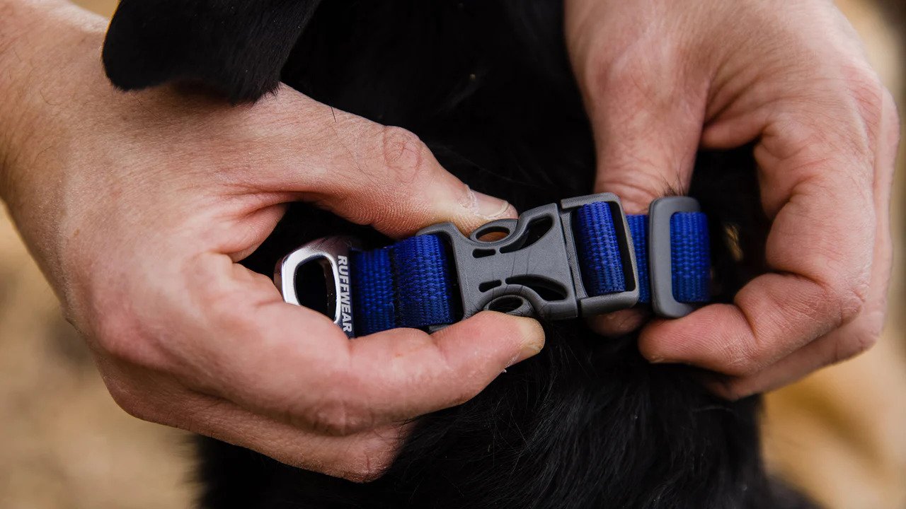 Front Range Dog Collar - Durable Nylon Pet Collar with Heavy-Duty Metal Buckle for Medium & Large Dogs | Perfect for Walking, Training & Outdoor Adventures