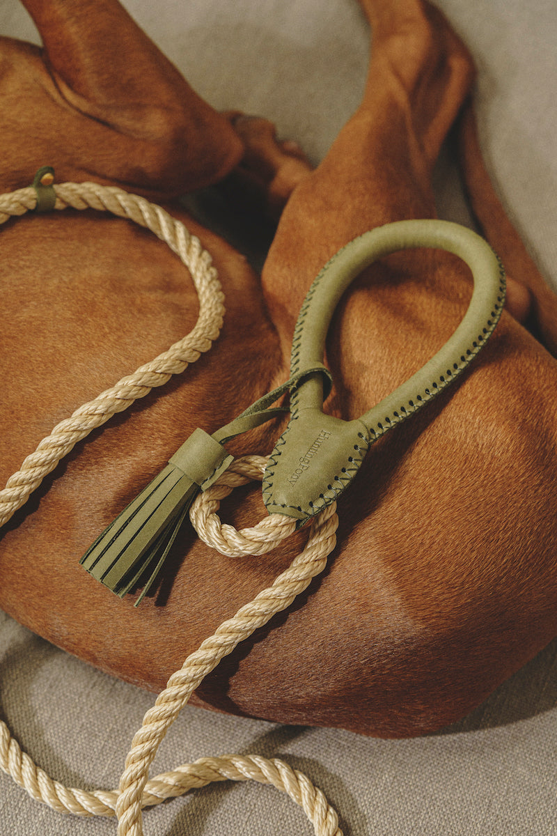 Premium Dog Leash - Country Pony Green - Durable & Adjustable Pet Walking Lead for Small to Medium Dogs - Perfect for Outdoor Adventures, Hiking, and Daily Walks