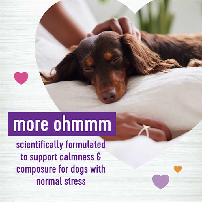 Premium Wellness Tasty Cheese Flavored Soft Chews - Calming Anxiety Supplements for Dogs with Natural Ingredients (45 Count) - Perfect for Travel, Vet Visits & Storm Anxiety Relief