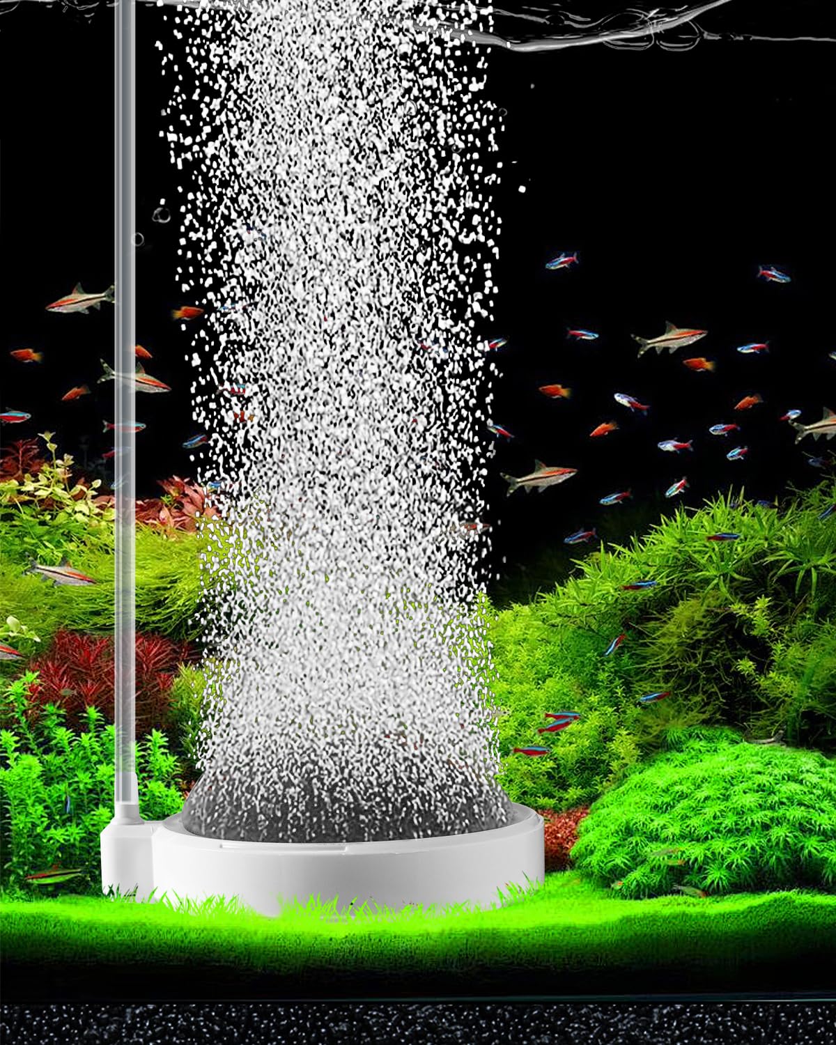 3.2 Inch Nano Air Bubble Stone for Aquarium Fish Tank - High Oxygenation Aerator & Bubbler Accessory for Hydroponics, Pond, and Air Pump Systems - Perfect for Freshwater & Saltwater Tanks
