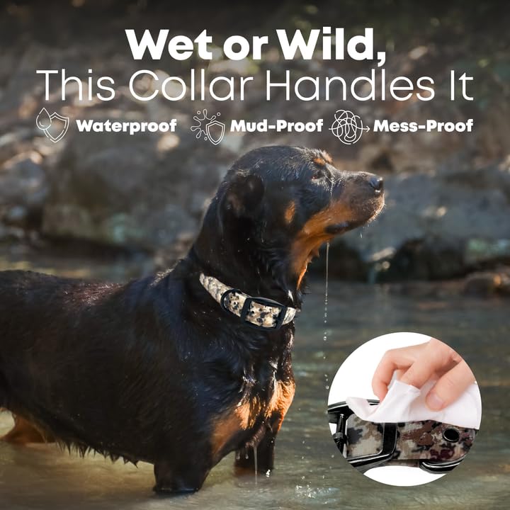 **Regal Dog Products Large Camo Hunting Dog Collar – Custom Engraved Name Plate & Heavy-Duty Black Hardware | Waterproof, Durable Personalized Dog Collar for Hunting, Training & Outdoor Adventures | Available in Small & Medium Sizes**