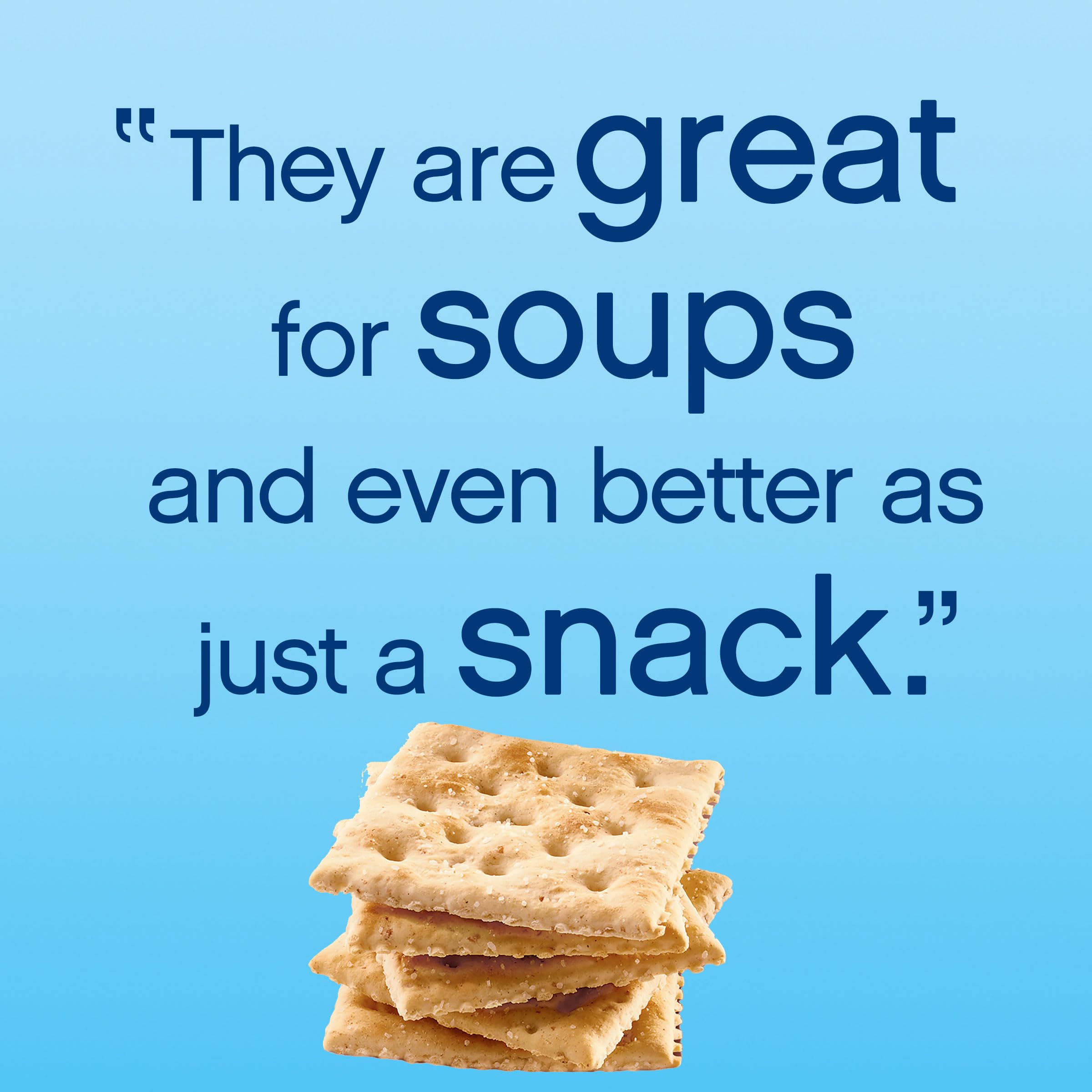 Premium Whole Grain Wheat Saltine Crackers - 1.06 lb Box, Healthy Lunch Snacks & On-The-Go Treats for Office, School, or Road Trips