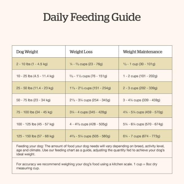 Now Fresh Grain-Free Adult Dry Dog Food - Chicken Recipe with Gravy | High Protein, Natural Ingredients for Healthy Digestion & Shiny Coat | Perfect for Active Dogs & Picky Eaters