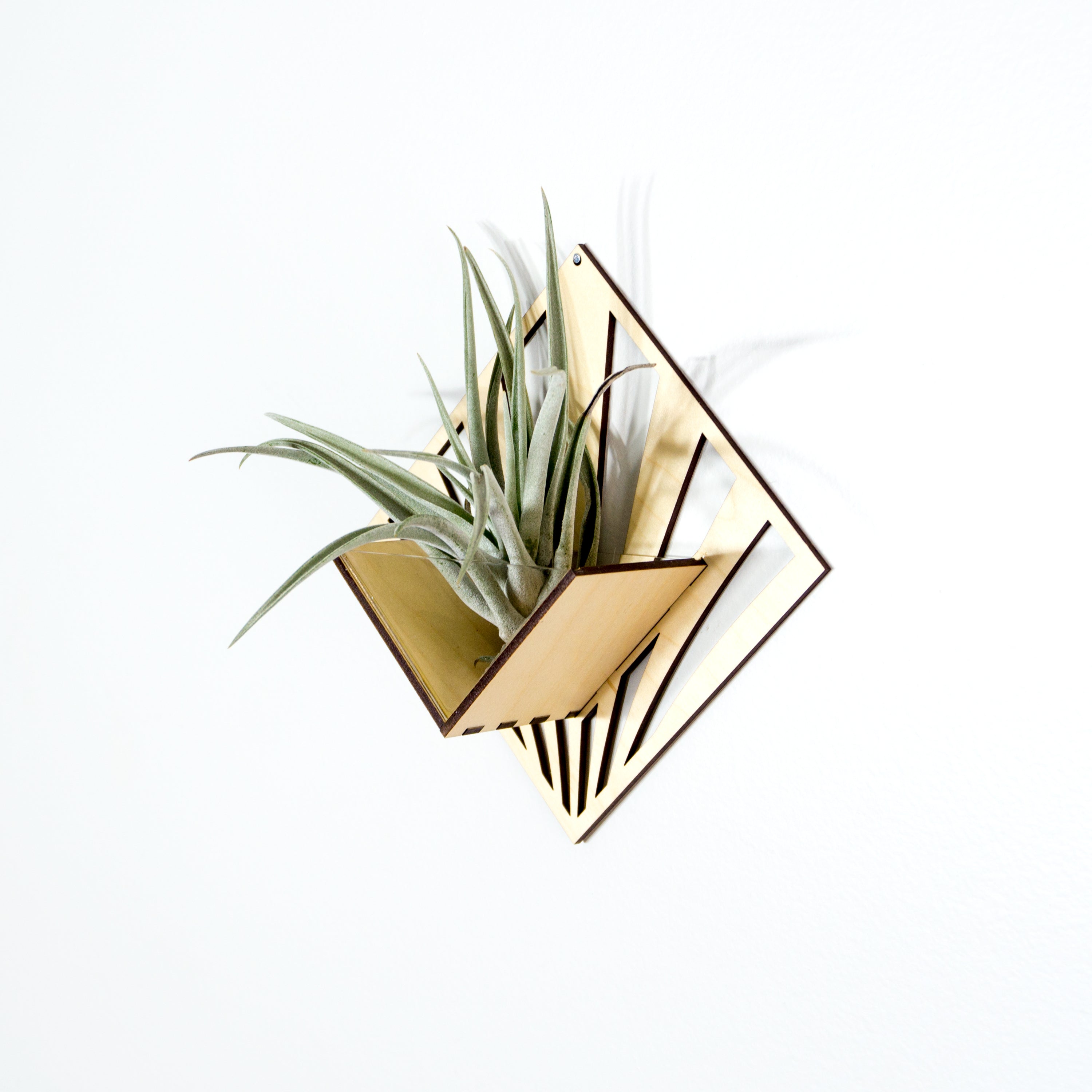 Handmade Wooden Quadrate Wall Planter Set of 2 - Air Plant Holder & Mounted Hanger Display for Tillandsia | Rustic Home Decor, Unique Plant Lover Gift Idea for Living Room, Bedroom or Office Decor