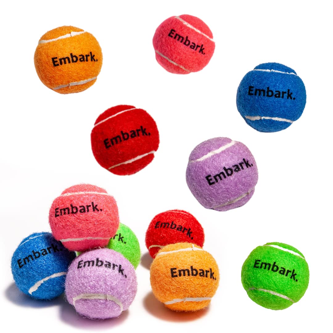 Colorful Squeaky Tennis Balls for Small Dogs - 12 Pack - Perfect for Outdoor Fetch & Training
