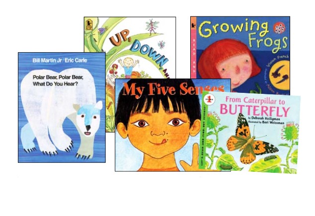 Big Books of Science Favorites - Engaging STEM Learning for Kids & Adults - Perfect for Homeschooling, Classroom Education & Science Enthusiasts