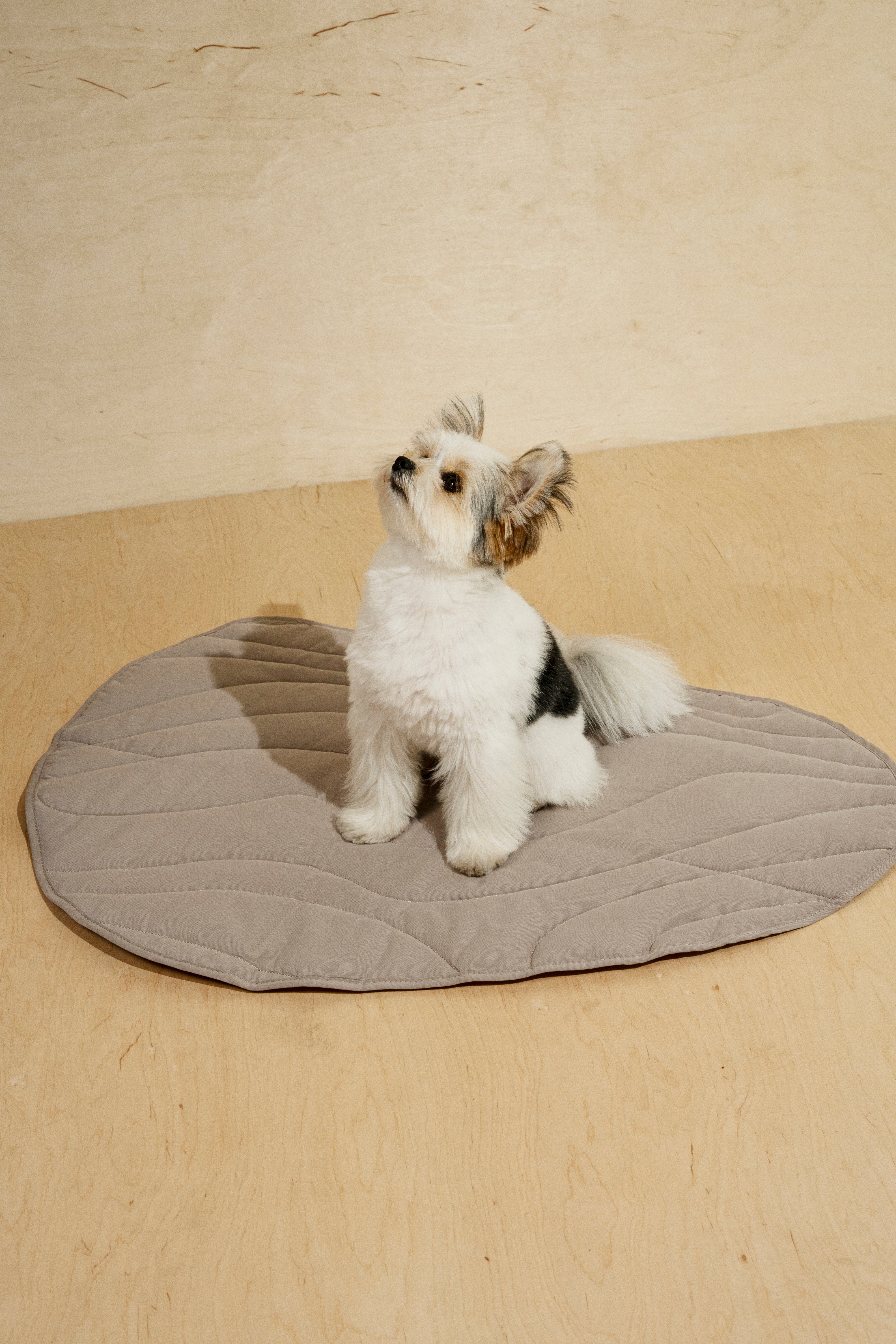 Premium Soft Dog Blanket - Cozy Pony Rollony Pet Blanket for Small & Large Dogs - Perfect for Beds, Couches, and Travel Use